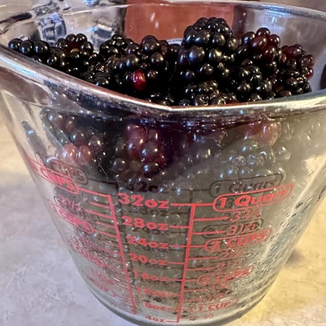 Instant Pot Blackberry Jam Quick & Easy Jam Recipe